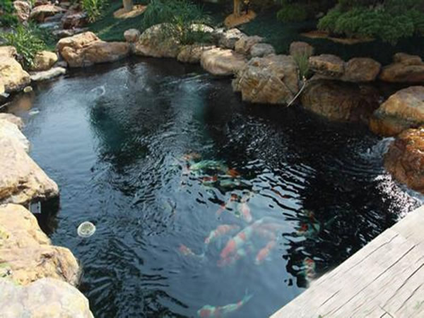 魚池自動化泵控制系統